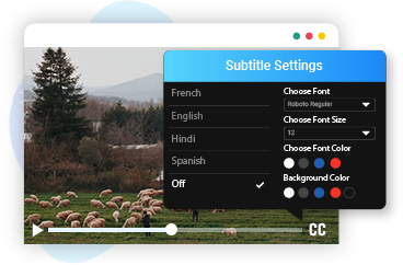 Manage Subtitle Settings