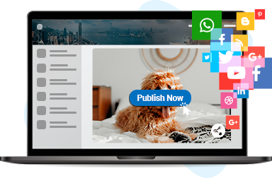 Publish your Content on Social Media Platforms