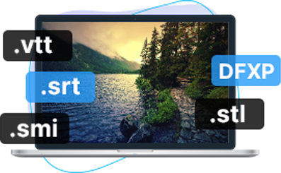 Support Multiple Subtitle Format 