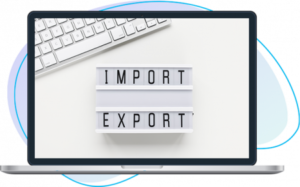 Import Export Metadata