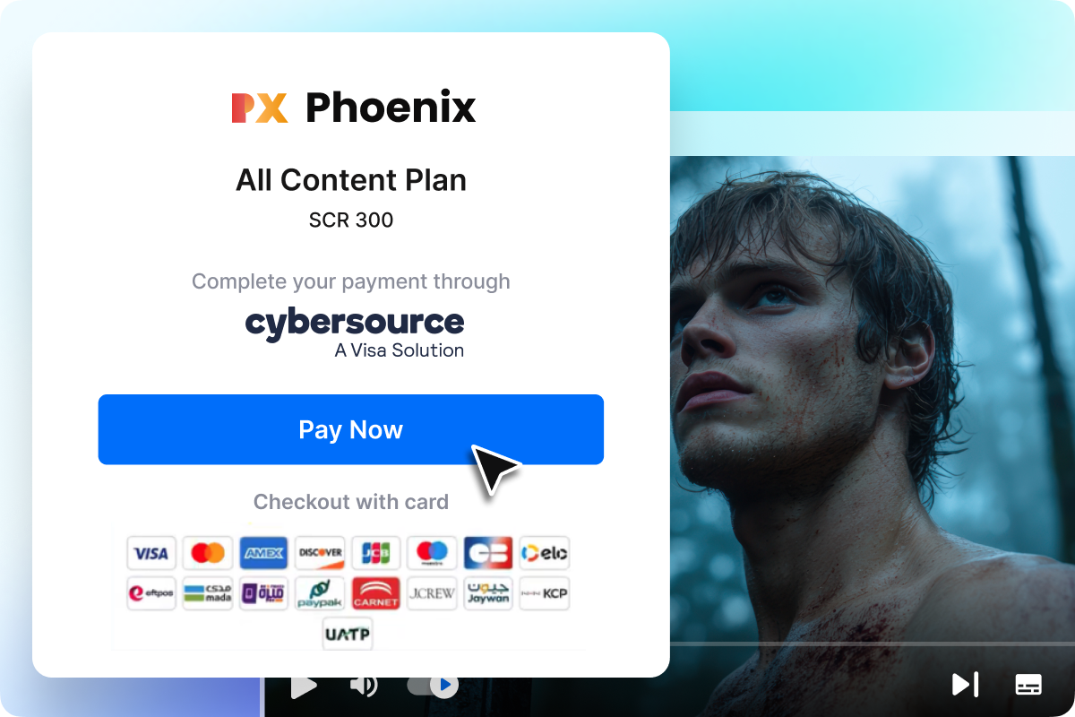 Accept Payments Across Major Card Networks