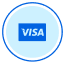 Visa-Backed Payment Platform