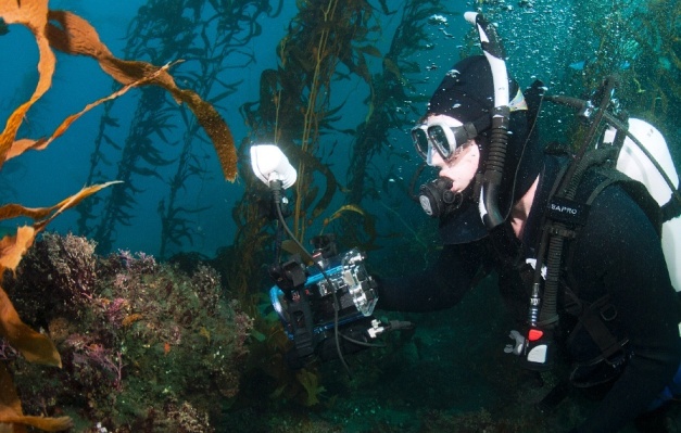 dive-photographer