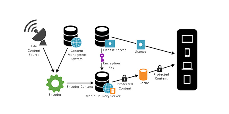 Video DRM Solution