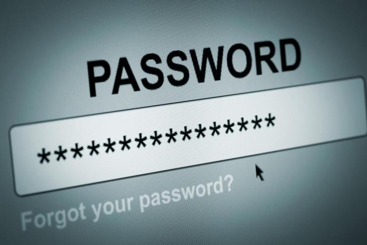 Netflix Password