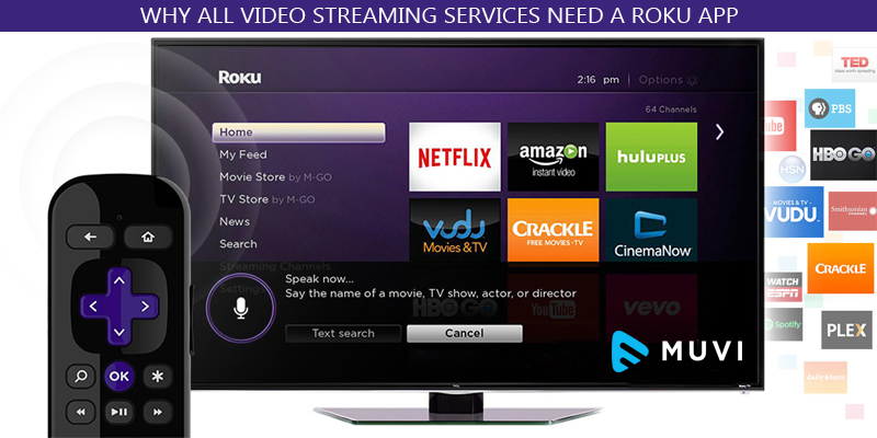 Why All Video Streaming Services Need A Roku App