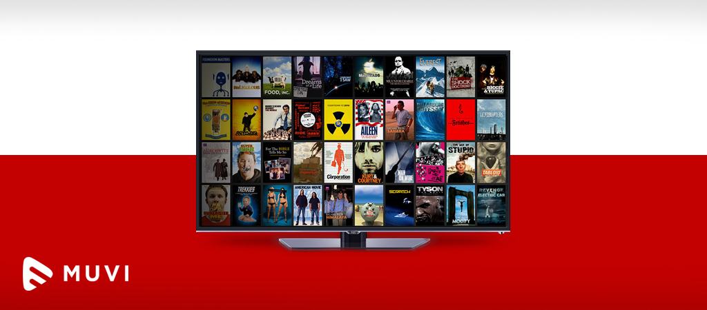 Poland's VOD market has room for new players