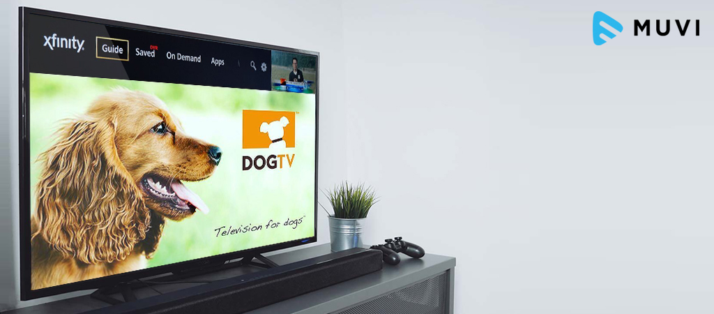 Xfinity dog hot sale tv