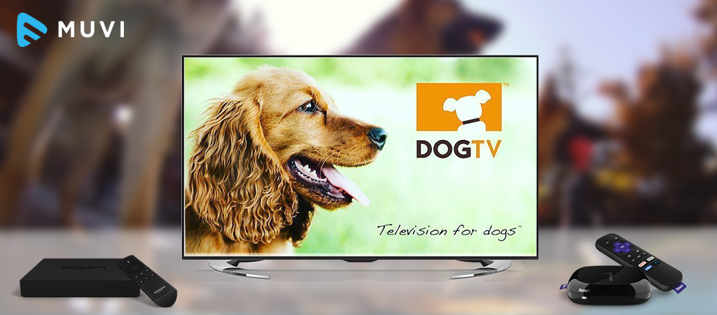 DogTV on Amazon Fire and Roku