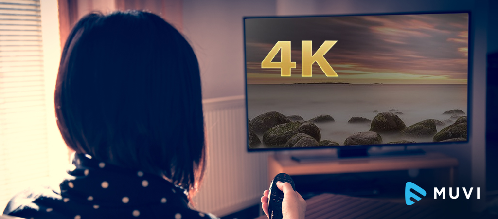 4K Streaming Media Adapters in Leading Regions