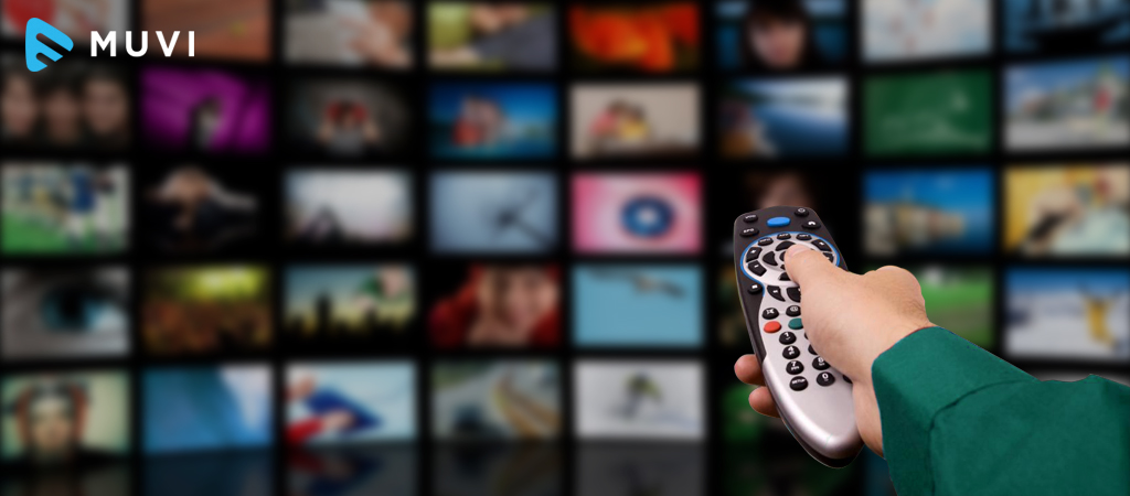 US Gains in SVOD and TVOD