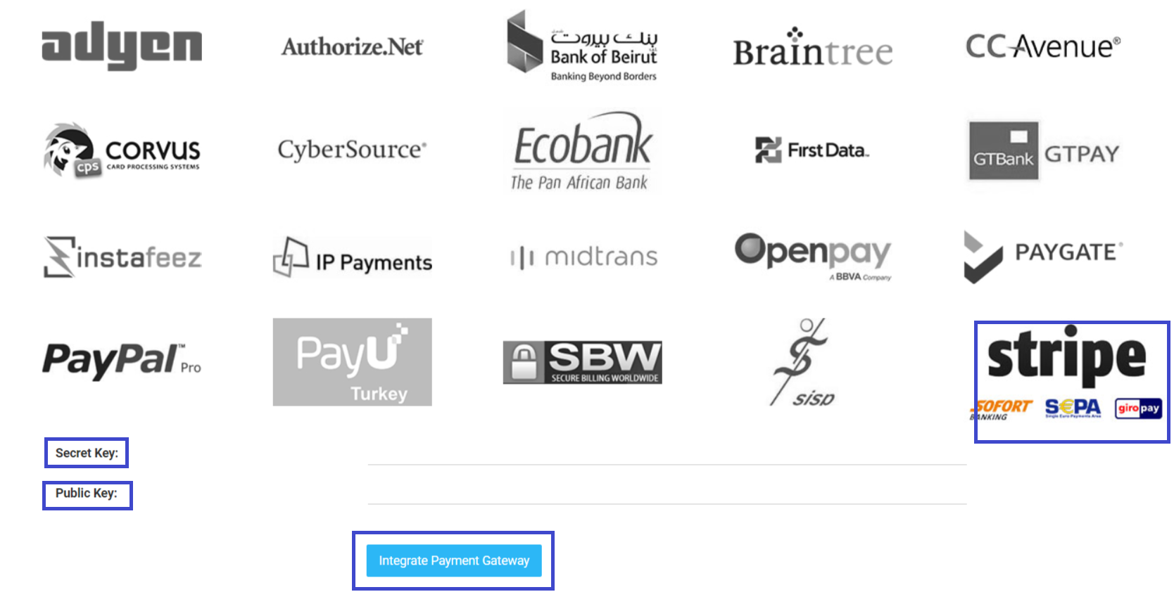 Stripe_Payment_Gateway_Muvi