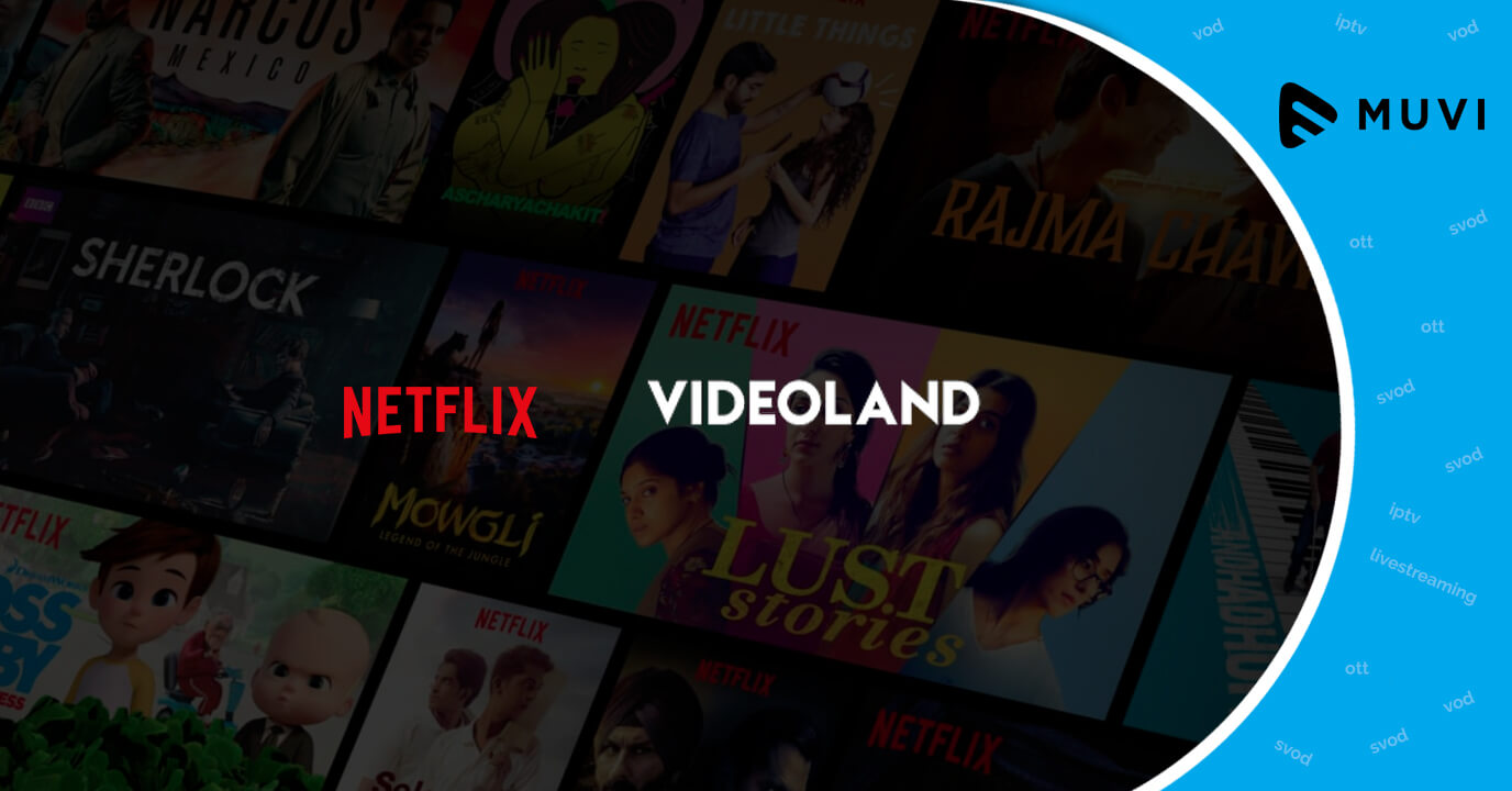 Netflix and Videoland - Netherland SVoD market