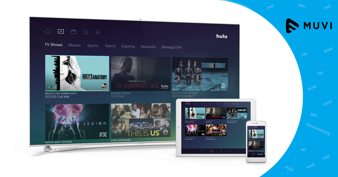 Hulu Online Streaming Subscribers in the US