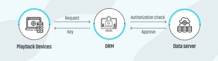 How DRM works?