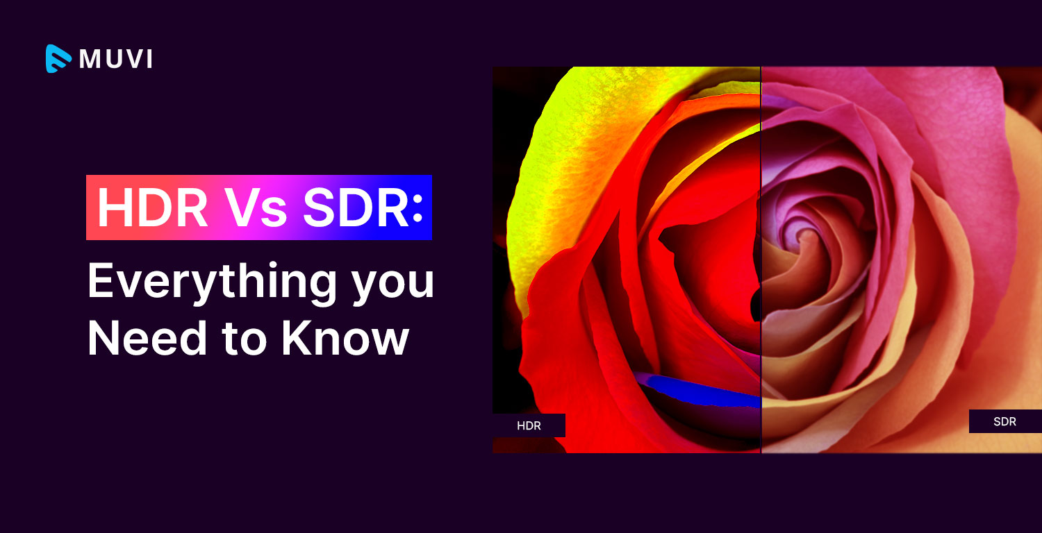 HDR-Vs-SDR-Everything-you-Need-to-Know