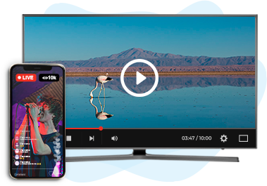 Supports On-demand & Live Content