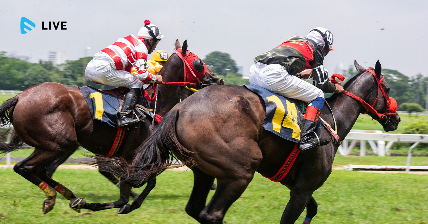 Horse race live streaming