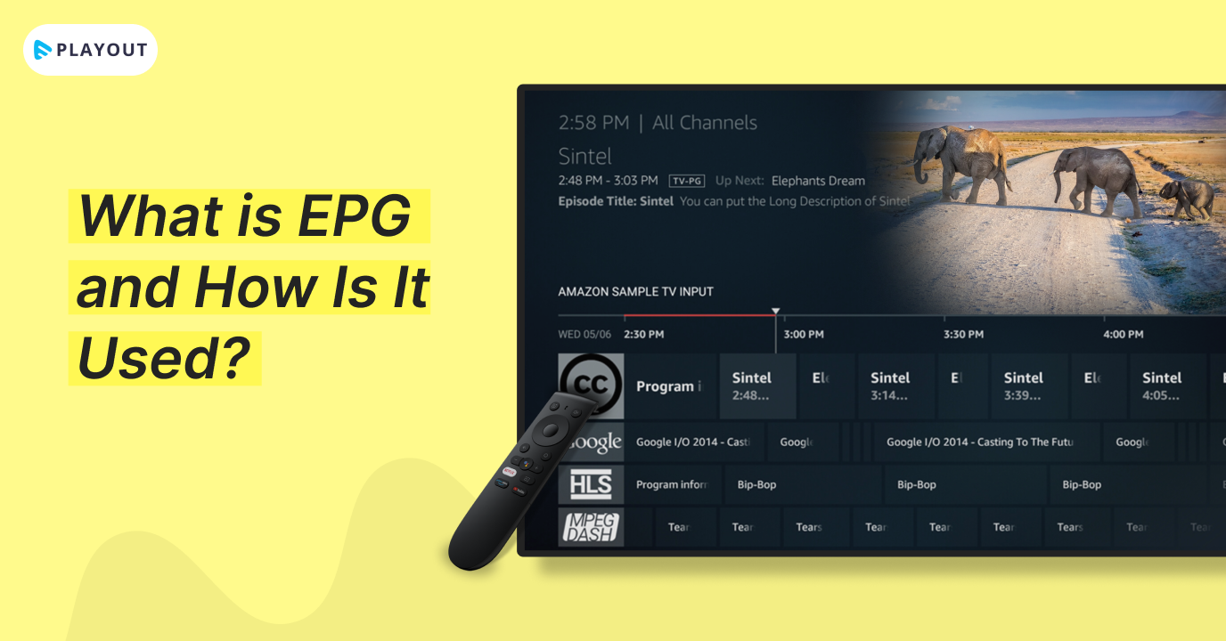 What is EPG and How Is It Used
