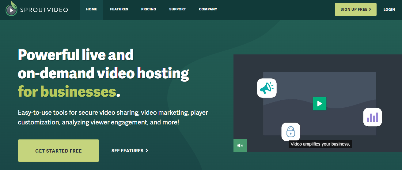 paid video hosting platform