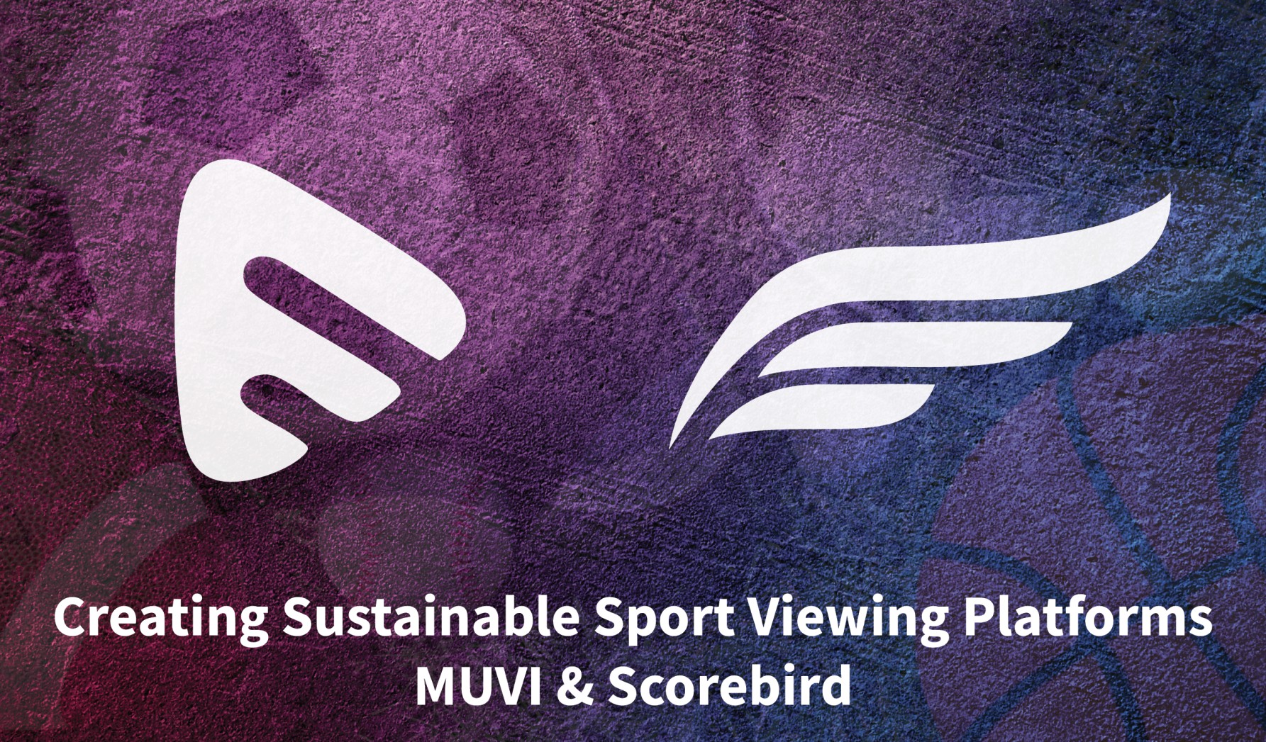 Creating Sustainable Sport Platforms for Schools 