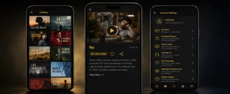 API Powered Streaming Built Around a Custom Portal